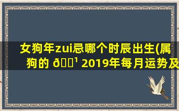 女狗年zui
忌哪个时辰出生(属狗的 🌹 2019年每月运势及运程)